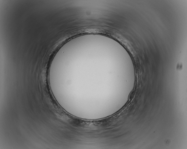 X0000093750297200711061054