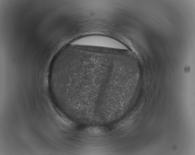 X0000093750299200711061054