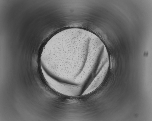 X0000093750300200711061054