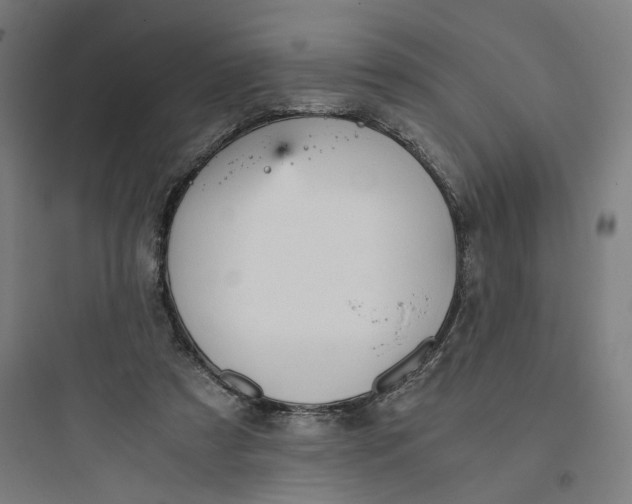 X0000093750305200711061054
