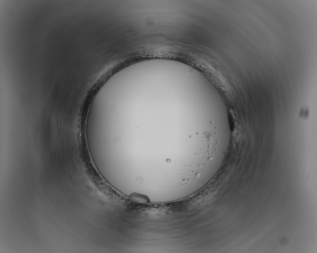 X0000093750306200711061054