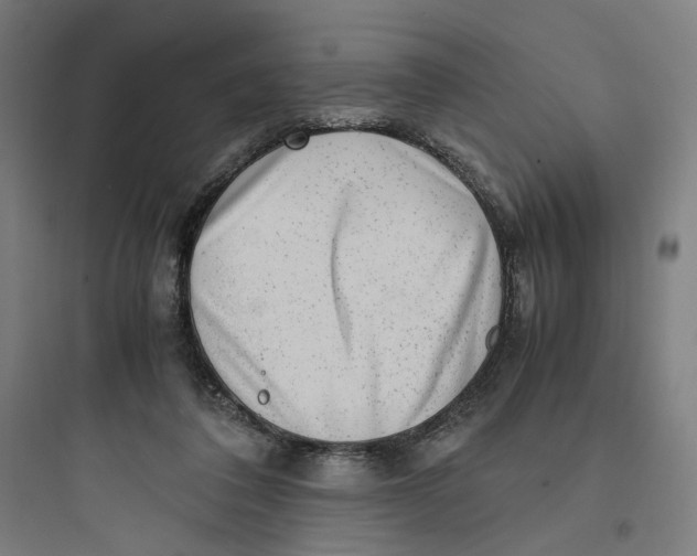 X0000093750308200711061054