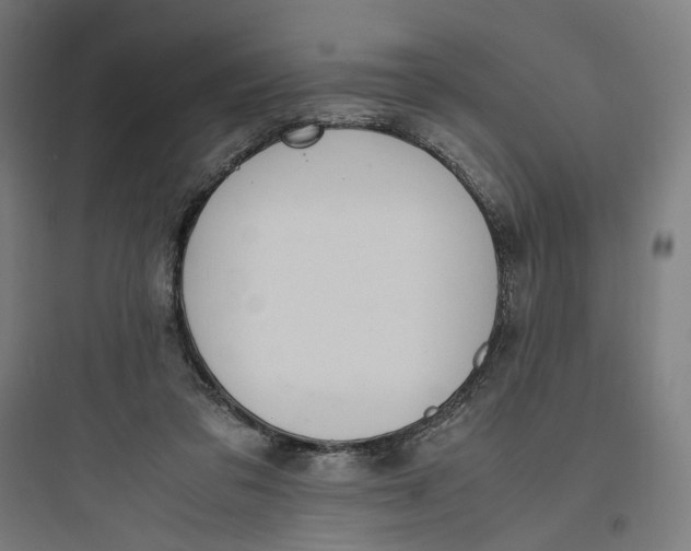 X0000093750309200711061054