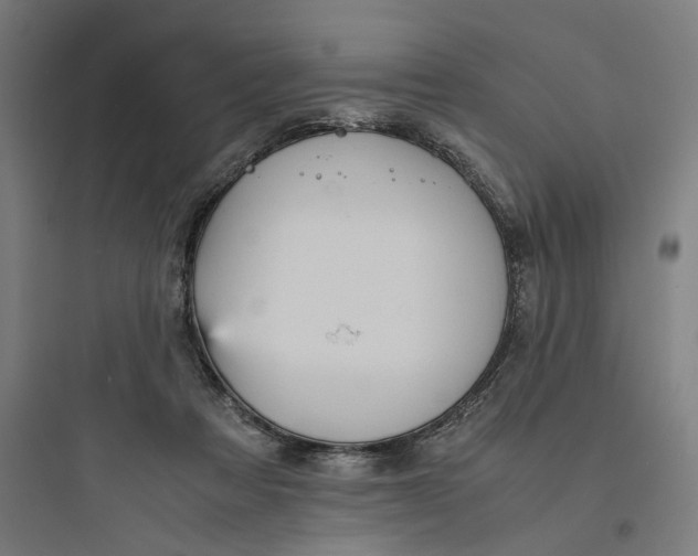 X0000093750313200711061054