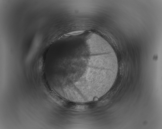 X0000093750314200711061054