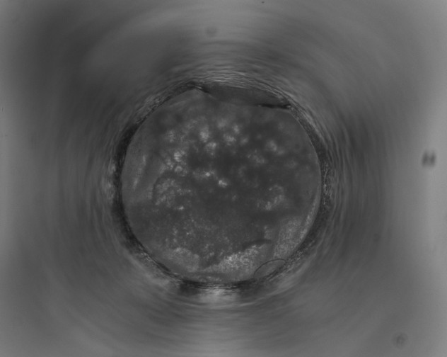 X0000093750319200711061054