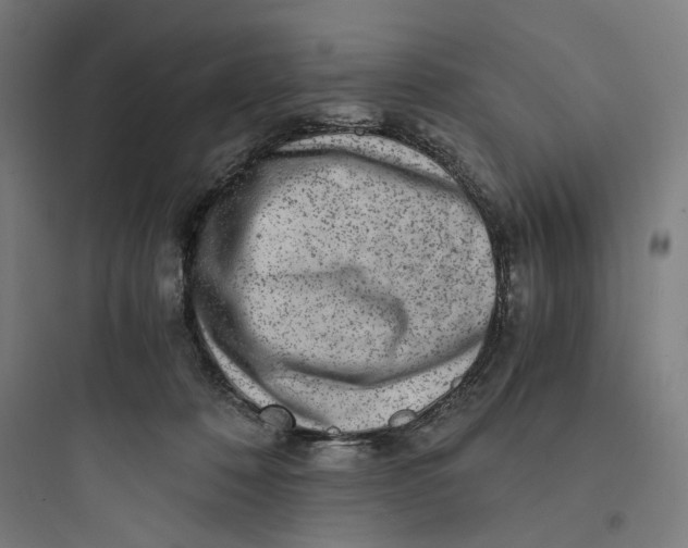 X0000093750320200711061054