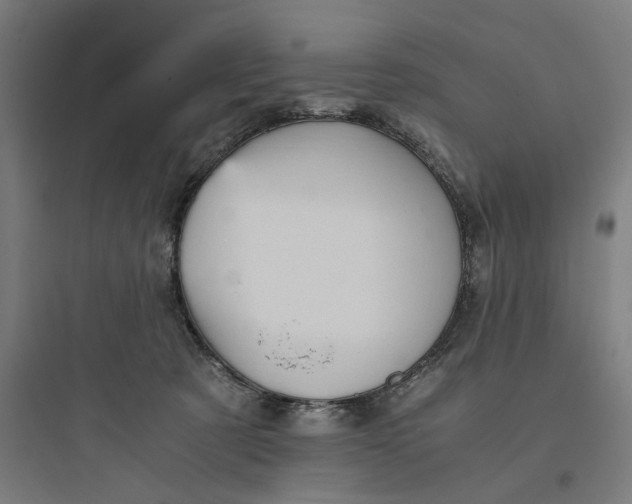 X0000093750321200711061054