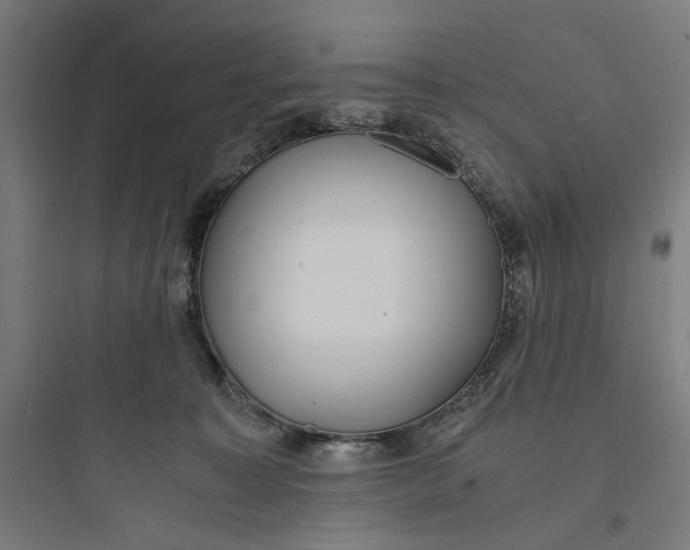 X0000093750323200711061054