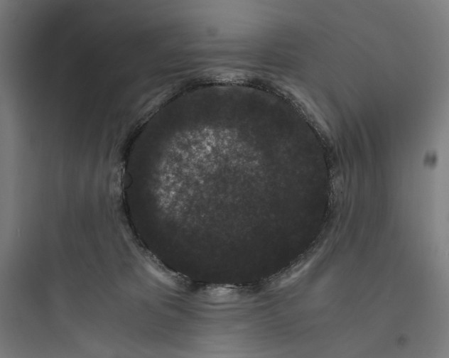 X0000093750325200711061054