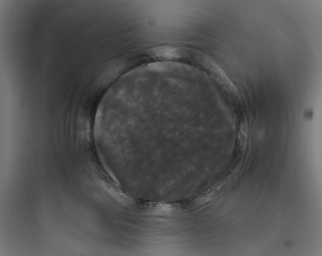 X0000093750330200711061054