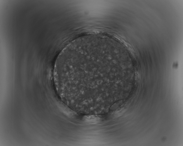 X0000093750331200711061054