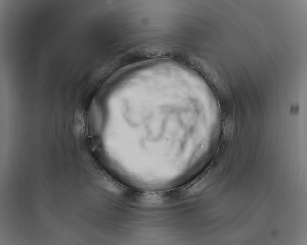 X0000093750335200711061054