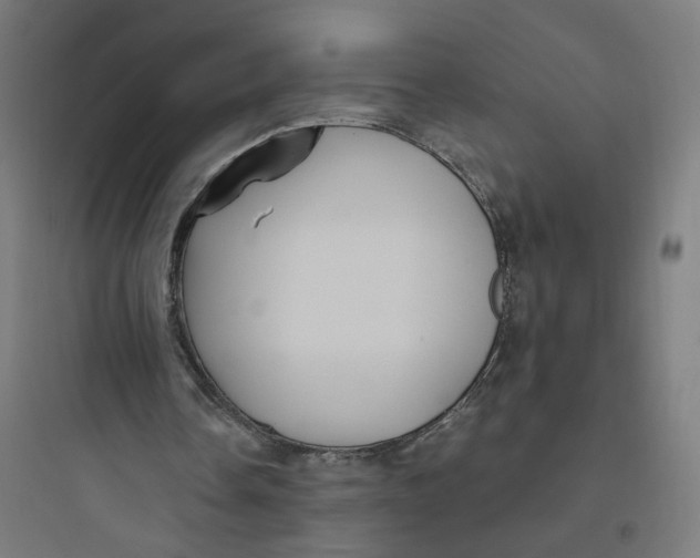 X0000093750338200711061053