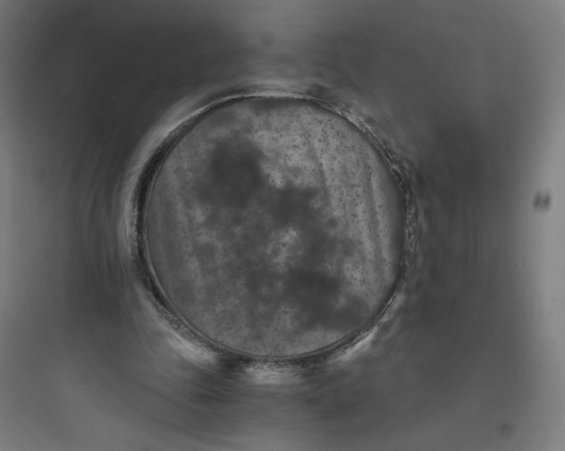 X0000093750343200711061053
