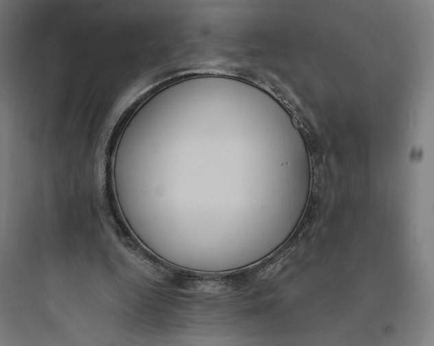 X0000093750344200711061053