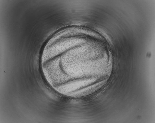 X0000093750346200711061053