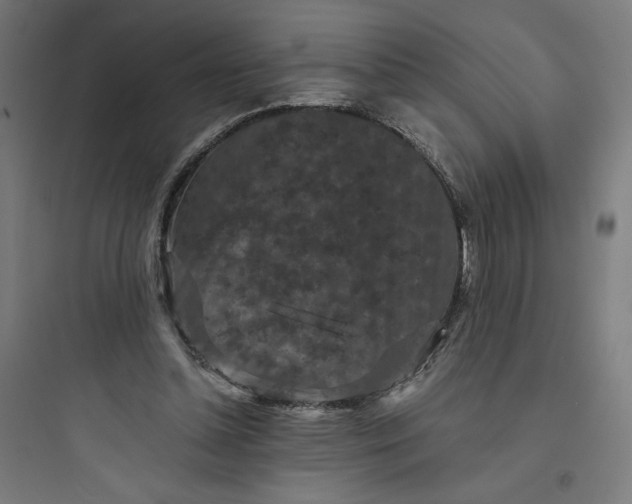 X0000093750348200711061053