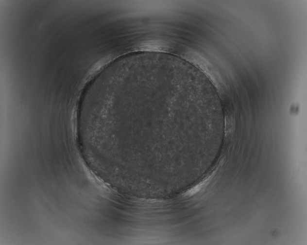 X0000093750349200711061053