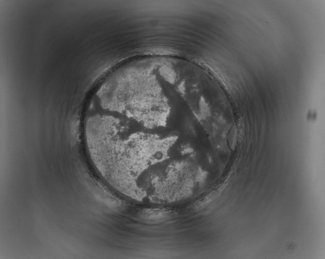 X0000093750351200711061053