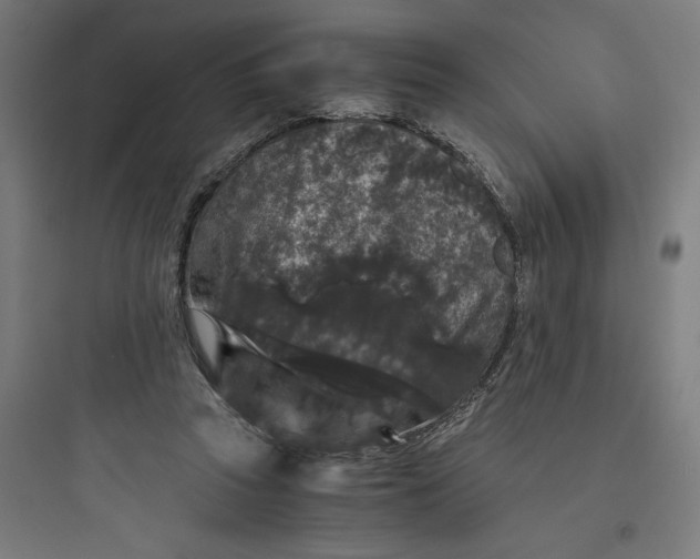 X0000093750353200711061053