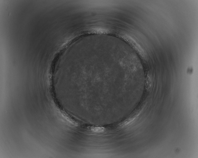 X0000093750355200711061053