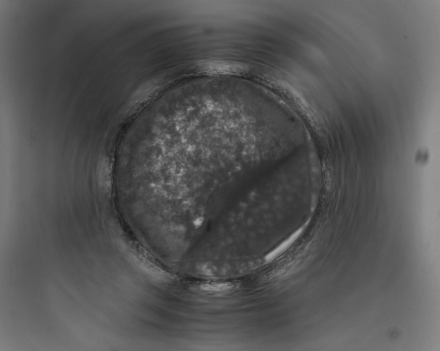 X0000093750357200711061053