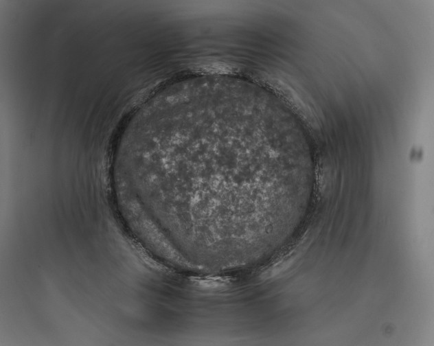 X0000093750359200711061053