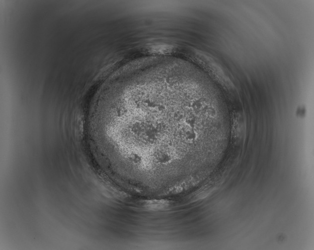 X0000093750363200711061053