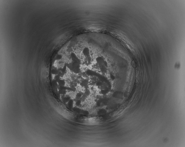 X0000093750365200711061053