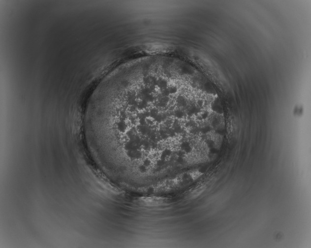X0000093750367200711061053