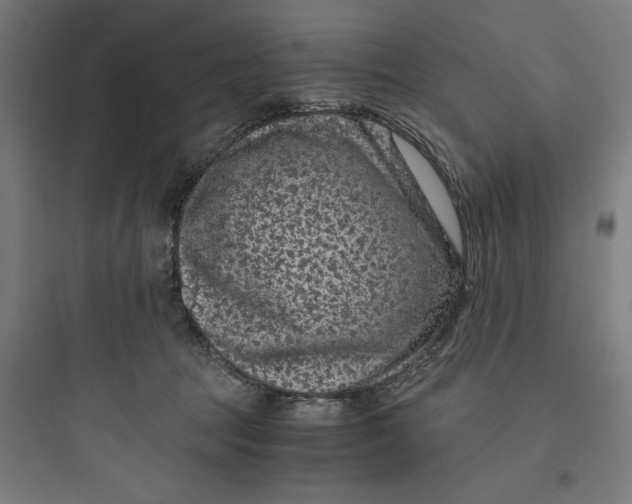 X0000093750369200711061053