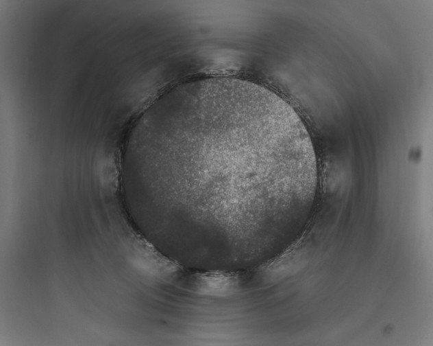 X0000093750370200711061053
