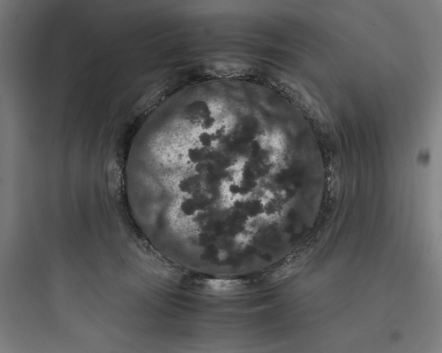 X0000093750371200711061053