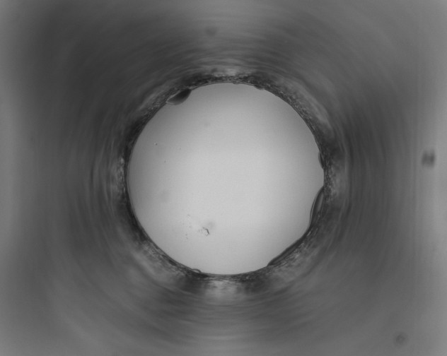 X0000093750376200711061053