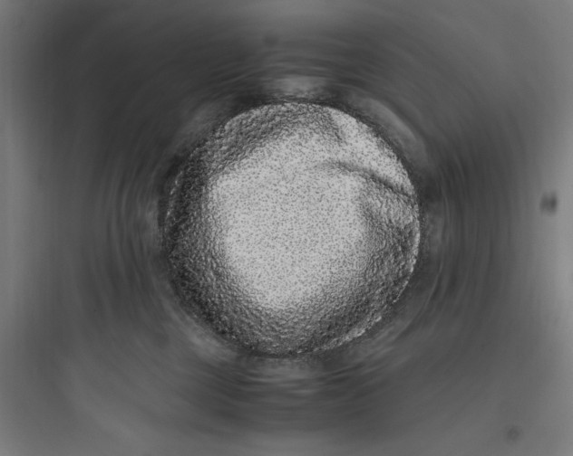 X0000093750377200711061053