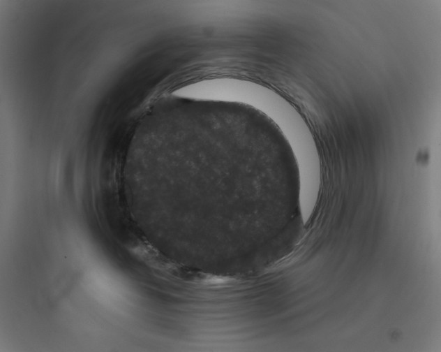 X0000093750382200711061053
