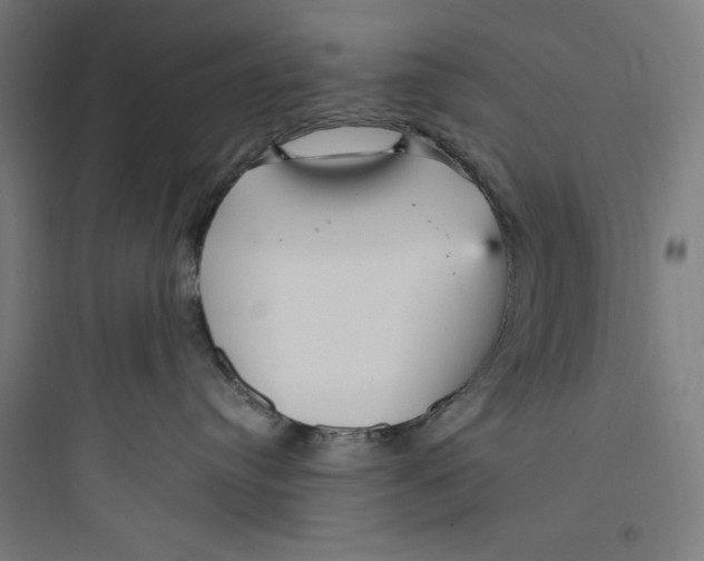 X0000093750384200711061053