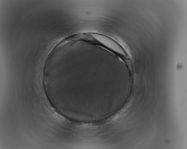 X0000093750385200711061053