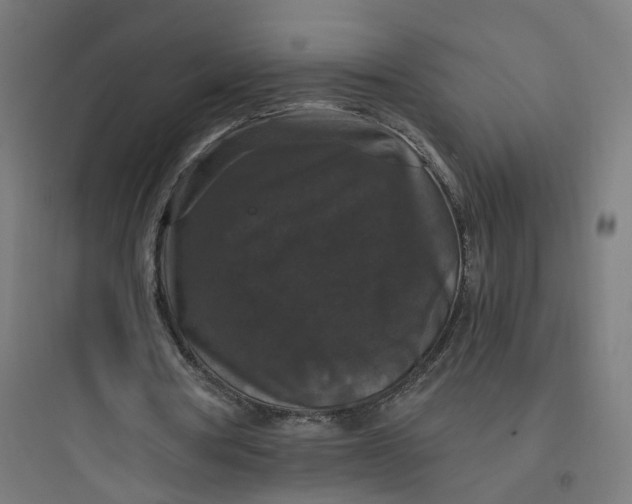 X0000093750386200711061053
