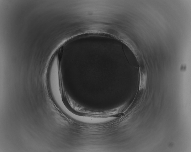 X0000093750387200711061053