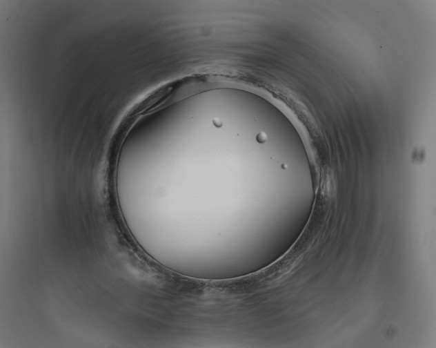 X0000093750388200711061053