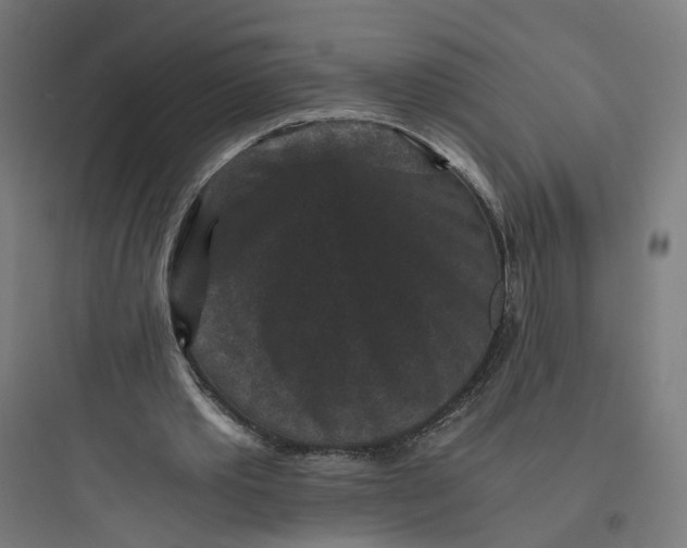 X0000093750389200711061053