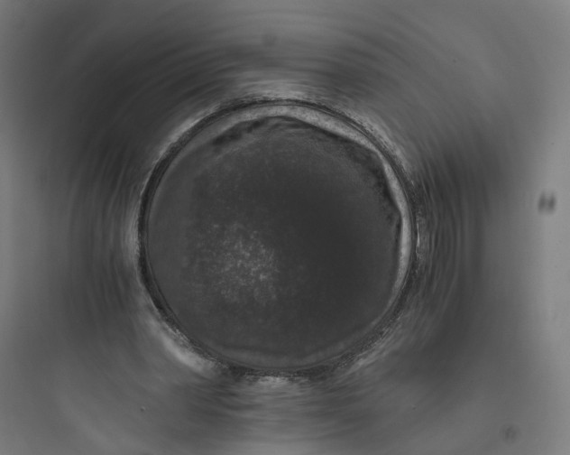X0000093750390200711061053