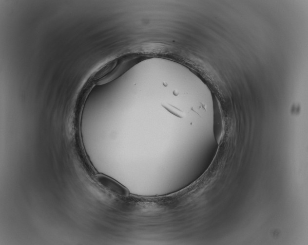 X0000093750392200711061053
