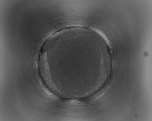 X0000093750393200711061053