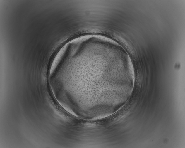 X0000093750394200711061053