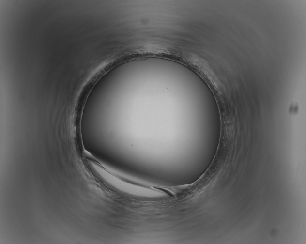 X0000093750395200711061053