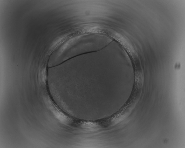 X0000093750397200711061053
