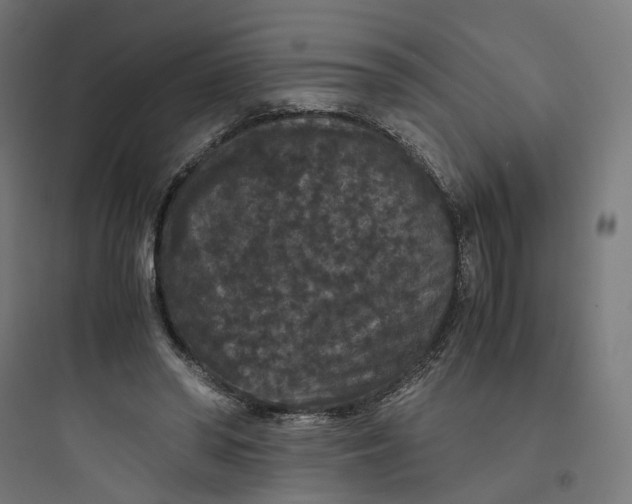 X0000093750398200711061053